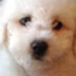 Profile picture of Mary S Kelly